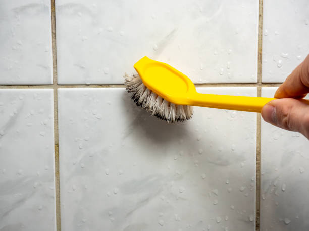 Best Local Mold Removal Service  in Wellsville, OH