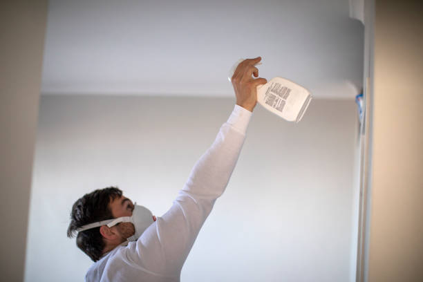 Mold Testing and Removal in Wellsville, OH